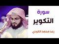 سورة التكوير رعد الكردي 