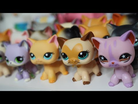 All My LPS Shorthair Cats! | LPSjazzmatazz