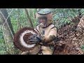 ERADICATION MURDER HORNET NEST,ASIAN GIANT HORNET NEST REMOVAL,WASP NEST REMOVAL,VESPA MANDARINA