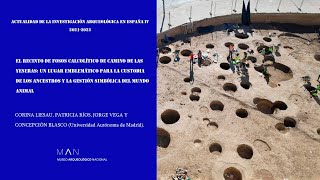 El recinto de fosos calcolítico de Camino de las Yeseras:  custodia de los ancestros