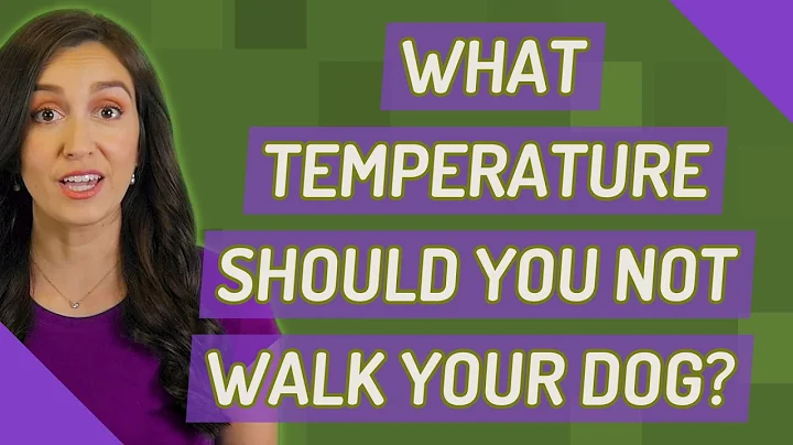 What temperature should you not walk your dog?