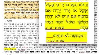 דף היומי סנהדרין ס״ז 67 חמישי א תשרי א׳ דר״ה תשע״ח