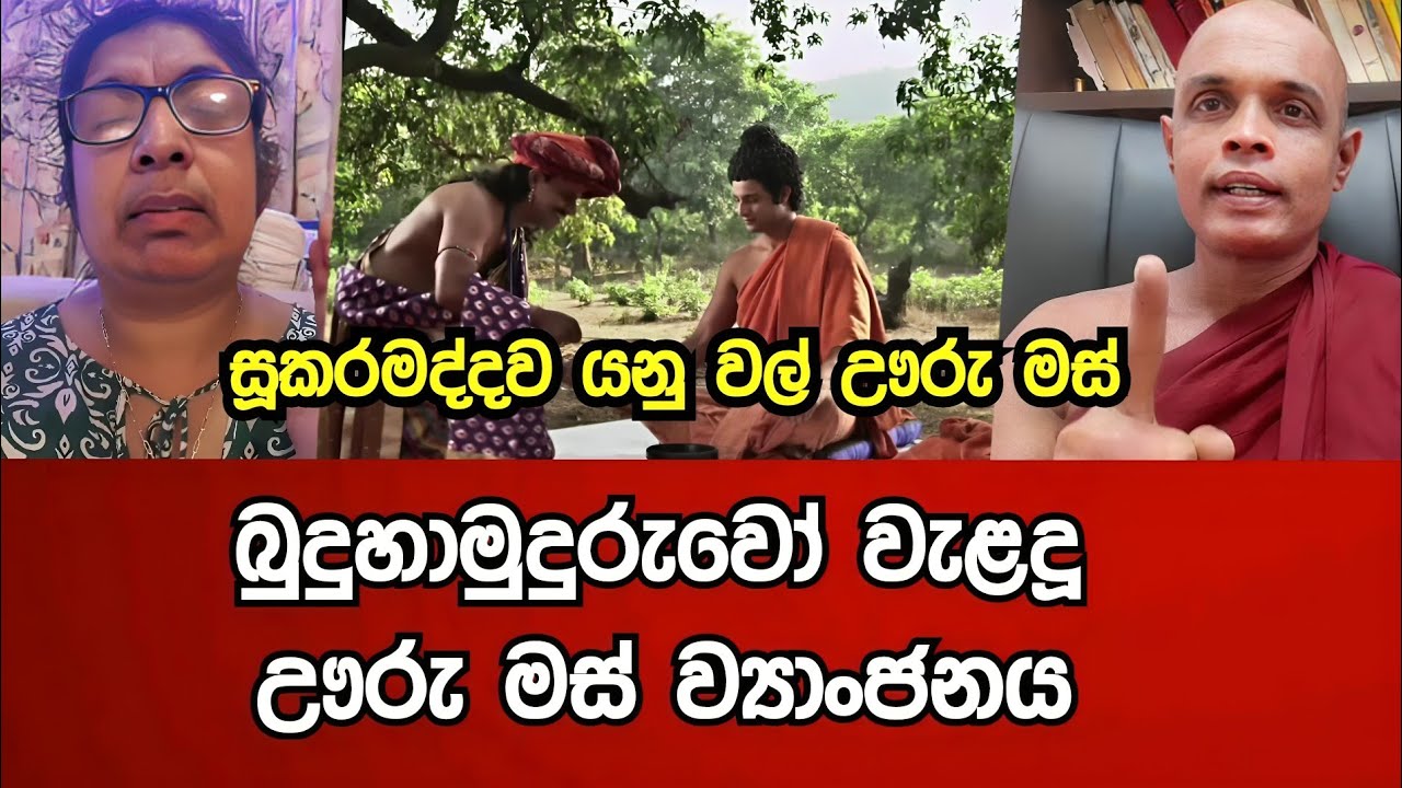 බුදුරදුන් වැළදූ ඌරු මස් ව්‍යාංජනය  - සූකරමද්දව කියන්නෙ වල්ඌරු මස් වලට ?