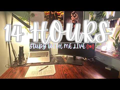 Live Study with me 16 hours | 55/5 Pomodoro ⏰️ | lofi Hiphop