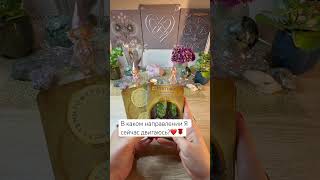 В каком направлении Я сейчас двигаюсь? #таро #расклад #гадание #таросила #тарологпроводник #tarot ✌️