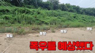 장마를 대비해서 통발을 풀숲에 설치했더니 놀라운 일이 벌어졌습니다..