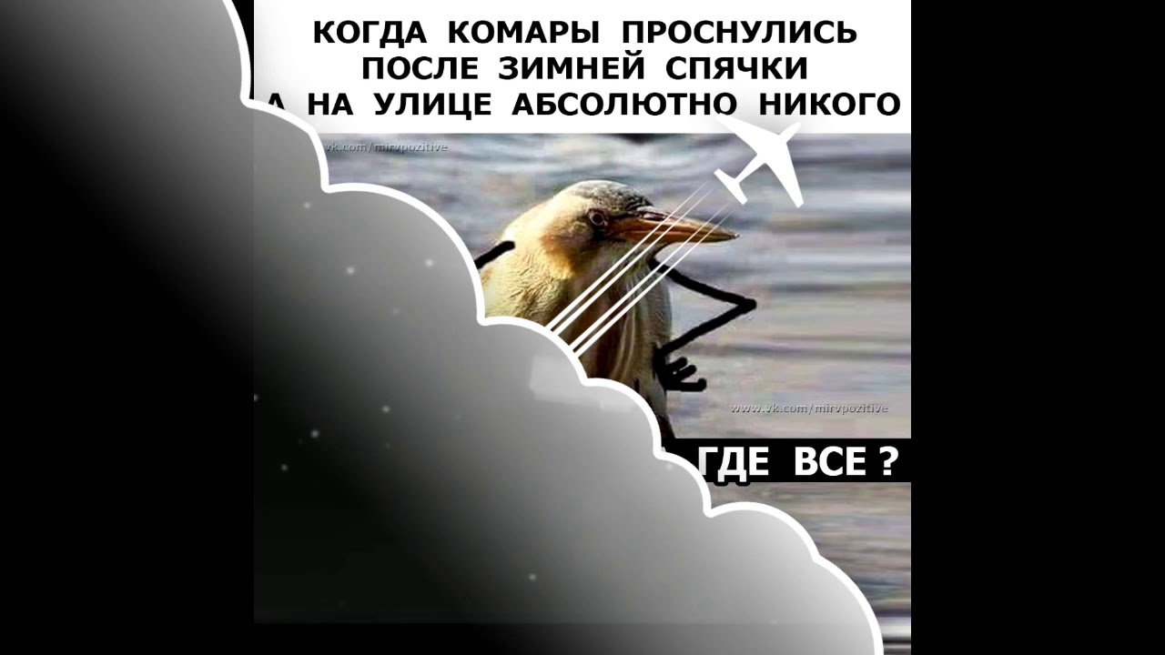 Фара вау колорс