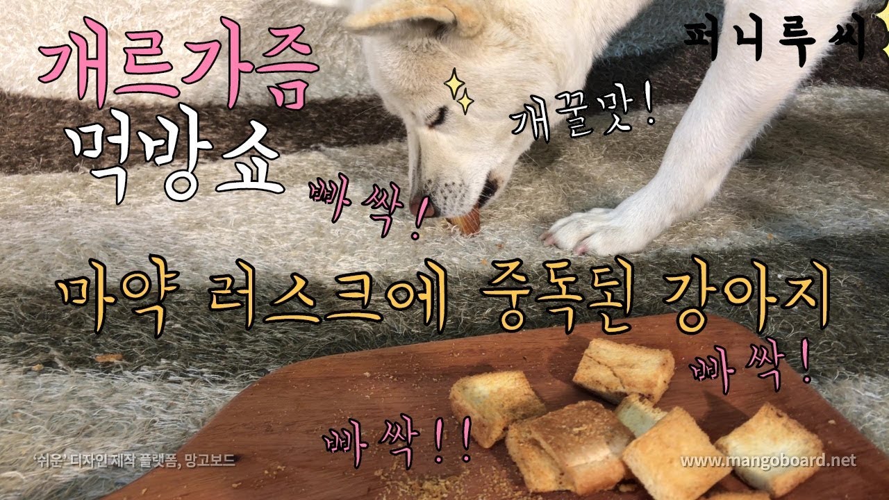 Dog Eating a Rusk [Sound Dogs Love] YouTube
