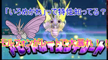 モルオーガ モルオーガ