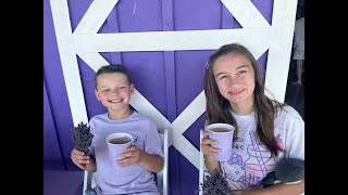 We Go to Sunset Ridge Lavender Farm near Enon, Ohio