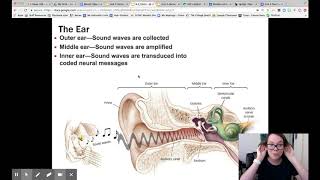 Module 24- Hearing-Unit 3