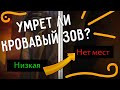 Умрёт ли Кровавый Зов? На каком сервере играть? Можно ли спасти Кровавый Зов?