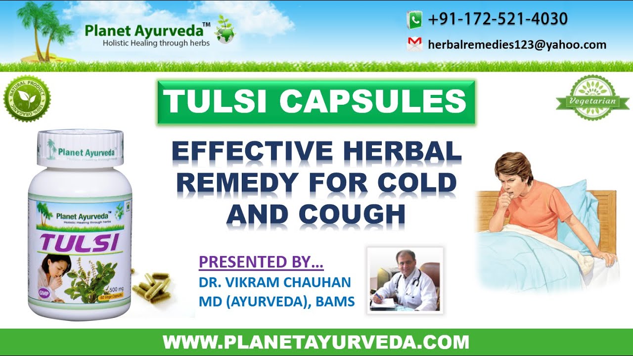 Tulsi Capsules Effective Herbal Remedy for Common Cold & Cough YouTube