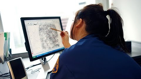 Program Chats: Criminology | York University