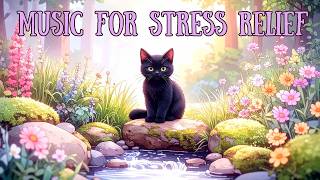 Peaceful Music 86 | Relaxing Music for Stress Relief, Meditation & Deep Relaxation #peacemusic screenshot 4