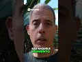 Humanidade em Meio ao Horror  Histórias da Segunda Guerra