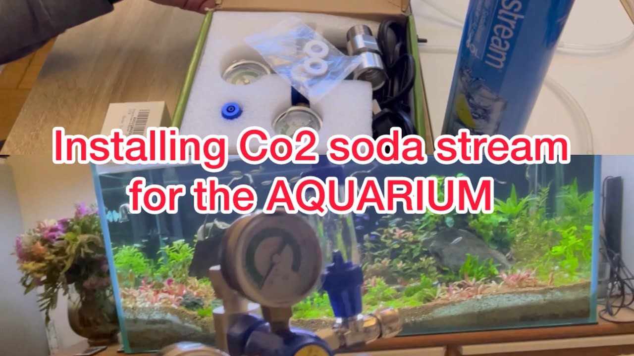 Visual Reference: Installing Co2 Soda Stream For The Aquarium