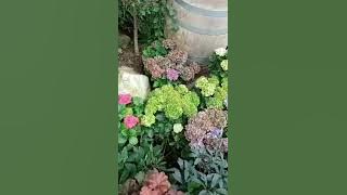 believe In Yourself by Melissa Montgomery