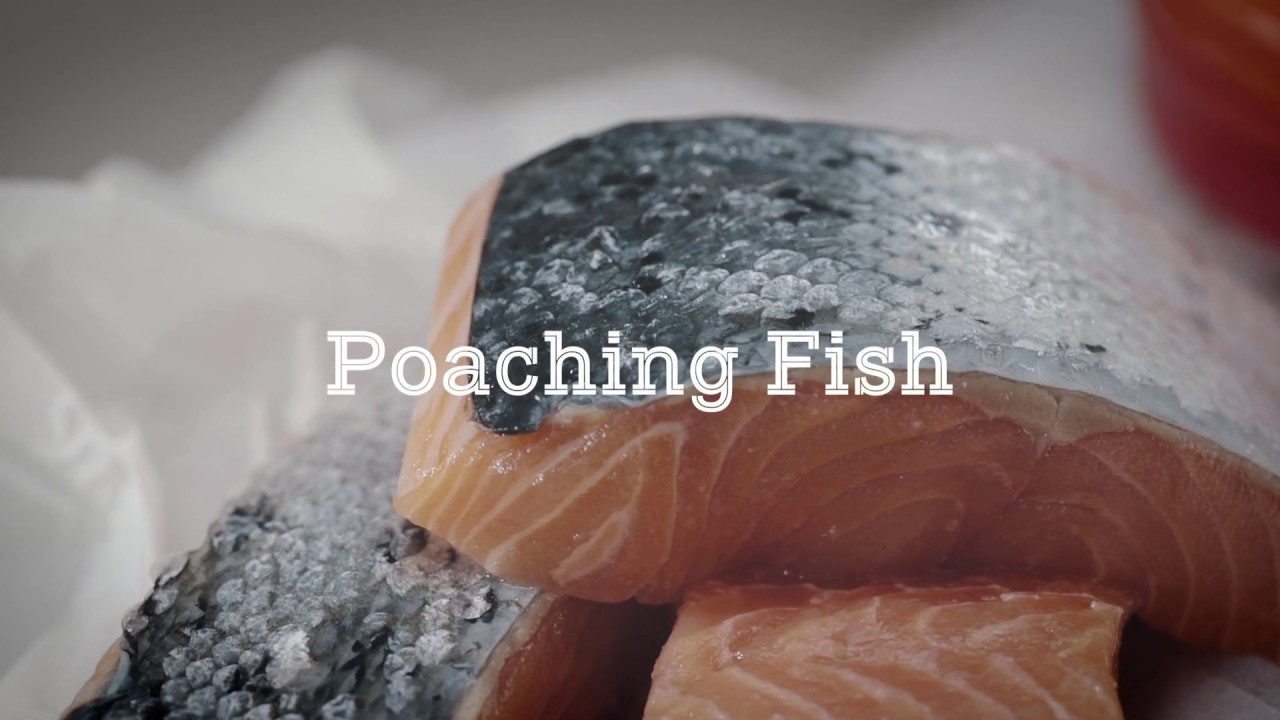 Cooking Techniques How to Poach Fish YouTube