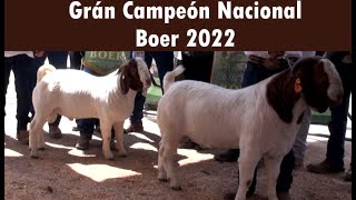 P200 Campeonato Nacional Boer 2022, desde SLP