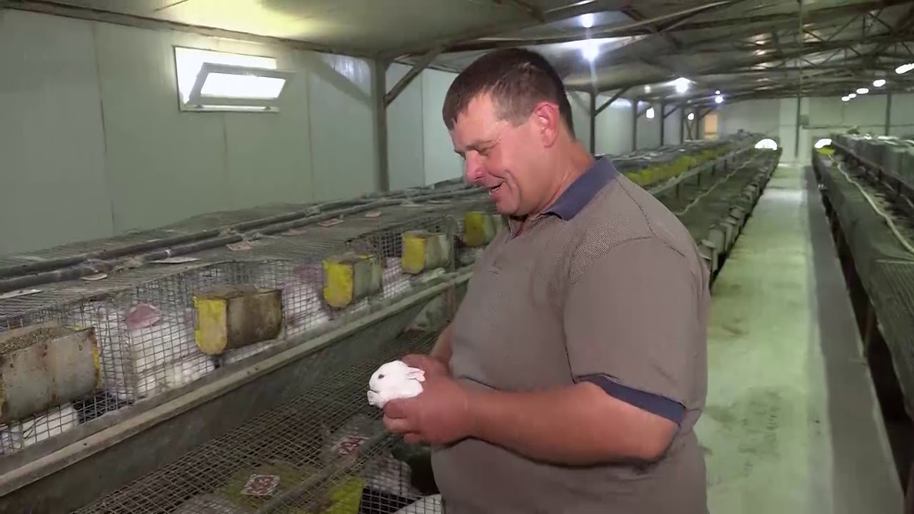 Gospodari Acasă | 2019-08-11