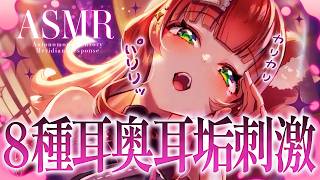 【ASMR/耳かき】ゾクッと心地良い🌟8種の耳奥耳かき【KU100/VTuber/ /こりす】