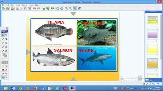 CLASSIFICATION OF FISH