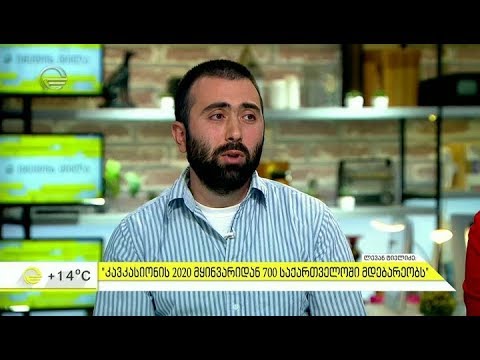 კლიმატის ცვლილებები - რა ემუქრება საქართველოს გლობალური დათბობის დროს