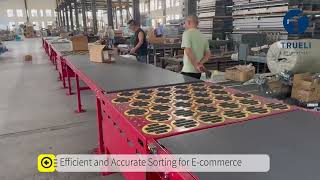 TRUELISORT Wheel Sorting System Project