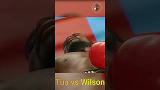 David Tua vs Darroll Wilson #shorts #boxinglegends #tua #wilson @Boxing_Legends