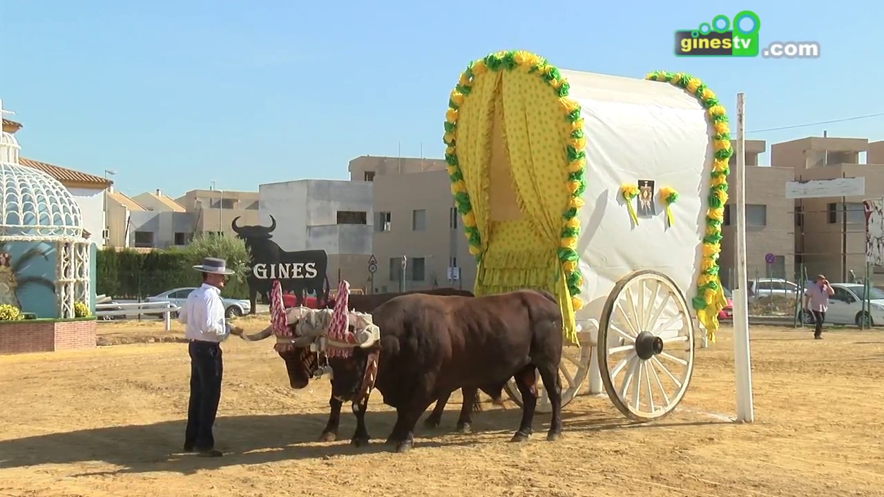Resumen del XIV Concurso Nacional de Yuntas y Carreteros - Una Pará en Gines 2017