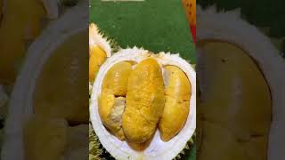 DURIAN HARGANYA 8,4 JUTA #durian #duriandurihitam #masduren