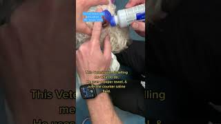 #veterinarian flushes my #dogs #eye dog eye dry and red MYFAVORITEGROOMER.com for more
