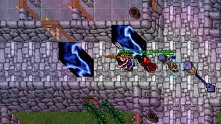 New Push Enforced #6 | Tibia 8.60