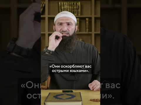 Только лицемеры выискивают чужие грехи