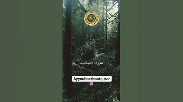 سورة الجاثية الآية 29-31 تلاوة شيخ الدوسري