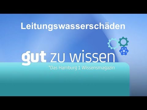 Erklärvideo Leitungswasserschäden  / Hamburg 1-Wissenssendung