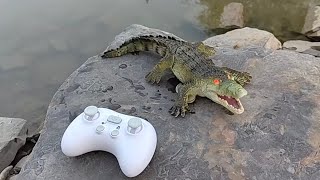 Scary Rc Crocodile in Water 😱 |Remote control magarmach #toyreview #watertoy #newtoy 