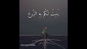آية ١١ من سورة النحل