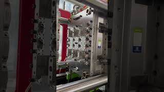 24-Cavity 53mm Neck 15g PET Preform Injection Mold #petpreformmold