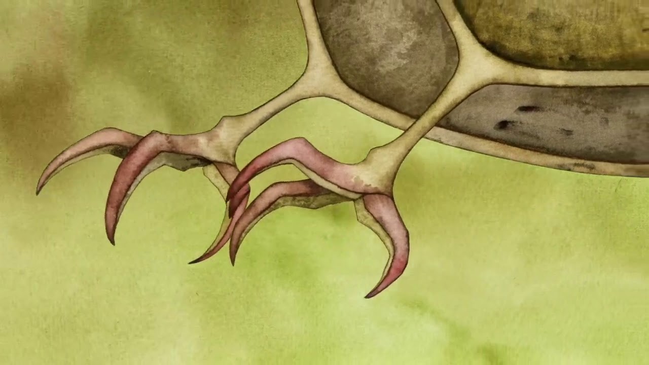 Yendor: The Journey of a Junior Adventurer - Animation Teaser One