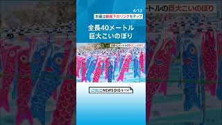 全長40メートルの「巨大こいのぼり」が登場　うろこ部分は…地元幼稚園児が作った「ミニこいのぼり」 愛知・一宮市 #チャント