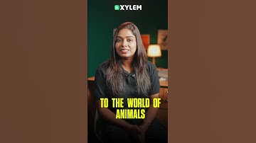 ജന്തുലോകത്തിലേക്ക് എന്ന ചാപ്റ്ററിന്റെ ഒരു അടിപൊളി Live ! | Xylem Class 3