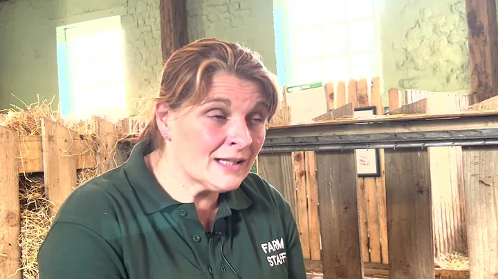 Debbie Mason on the importance of British farming