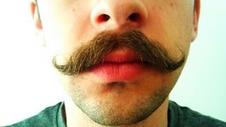 Mustache Growth Time Lapse