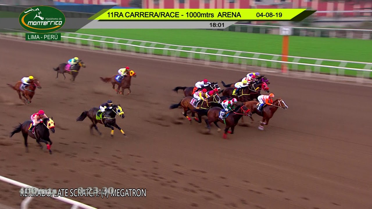 Hipódromo de Monterrico - 11ra. Carrera 04AGOSTO19 jockey club del perú facebook