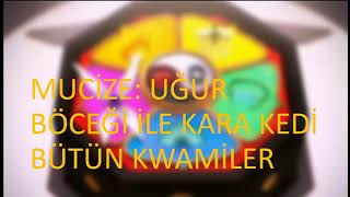 Kvami Lerin Dönüşümleri Mucize Uğur Böceği Ile Kara Kedi