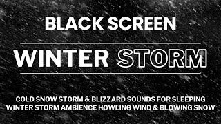 Download Lagu Cold Snow Storm \u0026 Blizzard Sounds for Sleeping┇Winter Storm Ambience | Howling Wind \u0026 Blowing Snow MP3 Download Lagu Cold Snow Storm \u0026 Blizzard Sounds for Sleeping┇Winter Storm Ambience | Howling Wind \u0026 Blowing Snow MP3