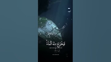 ثُمَّ قَسَتْ قُلُوبُكُمْ مِنْ بَعْدِ ذَلِكَ فَهِيَ كَالْحِجَارَةِ القارئ #مشاري_العفاسي الوصف👇👇