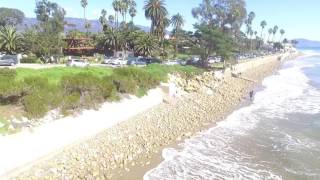 Dolphins at butterfly beach Santa Barbara ca